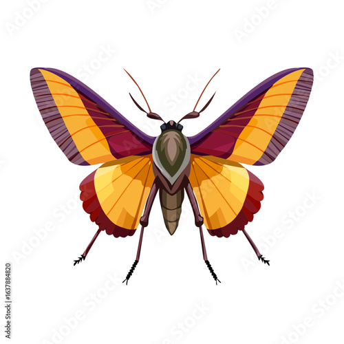 Isolated butterfly illustration on black background with vibrant yellow red and purple wings cartoon style