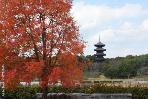 櫂の木と五重塔