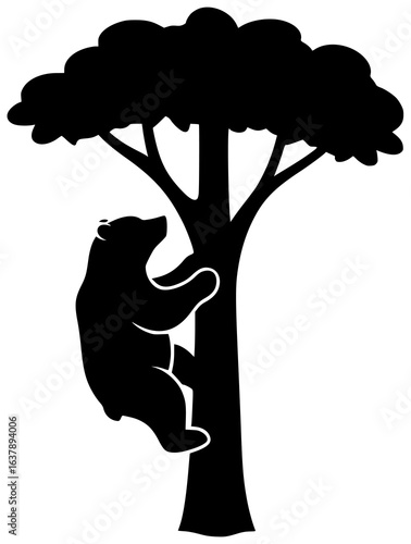 bear walking in forest with bear eating fish and drinking water outdoors freely always