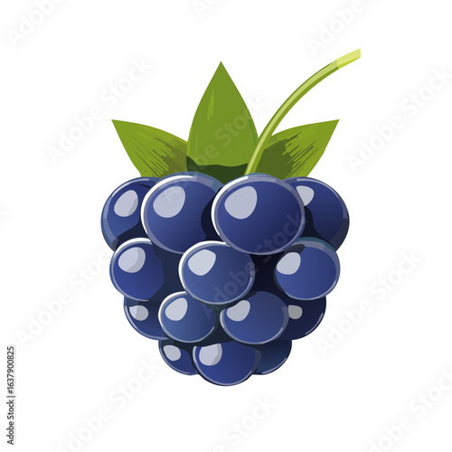Ripe Blackberry Illustration with Leaves Isolated on Black Background