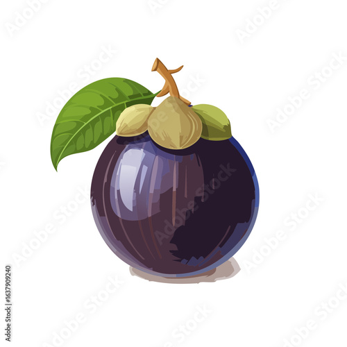Single mangosteen illustration fresh exotic fruit with green leaf and unique purple rind graphic art
