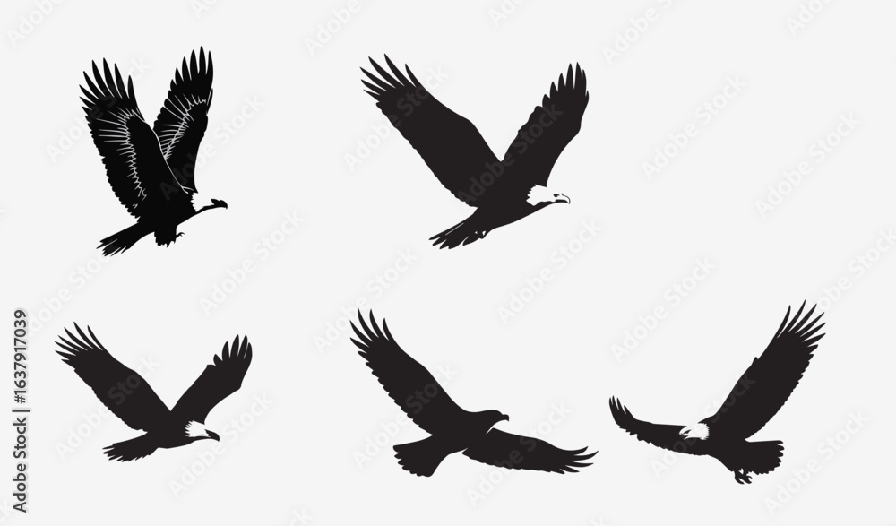 Obraz premium Vector design set of many eagle birds together.