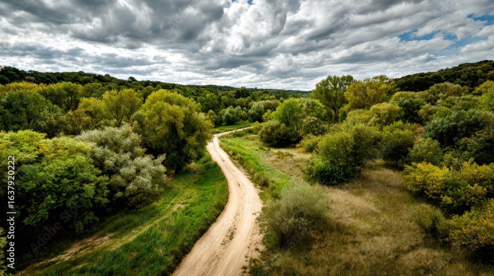 Obraz premium Scenic Countryside Road Through Lush Green Forest Under a Dramatic Sky, Perfect for Nature Backgrounds