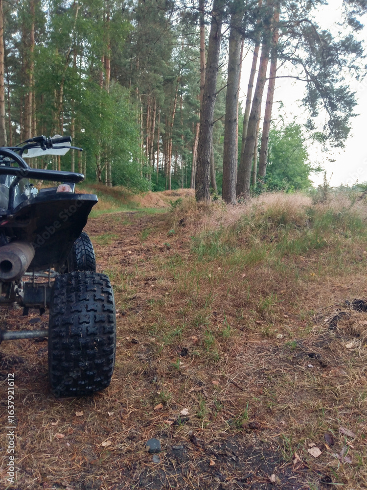 Fototapeta premium Quad