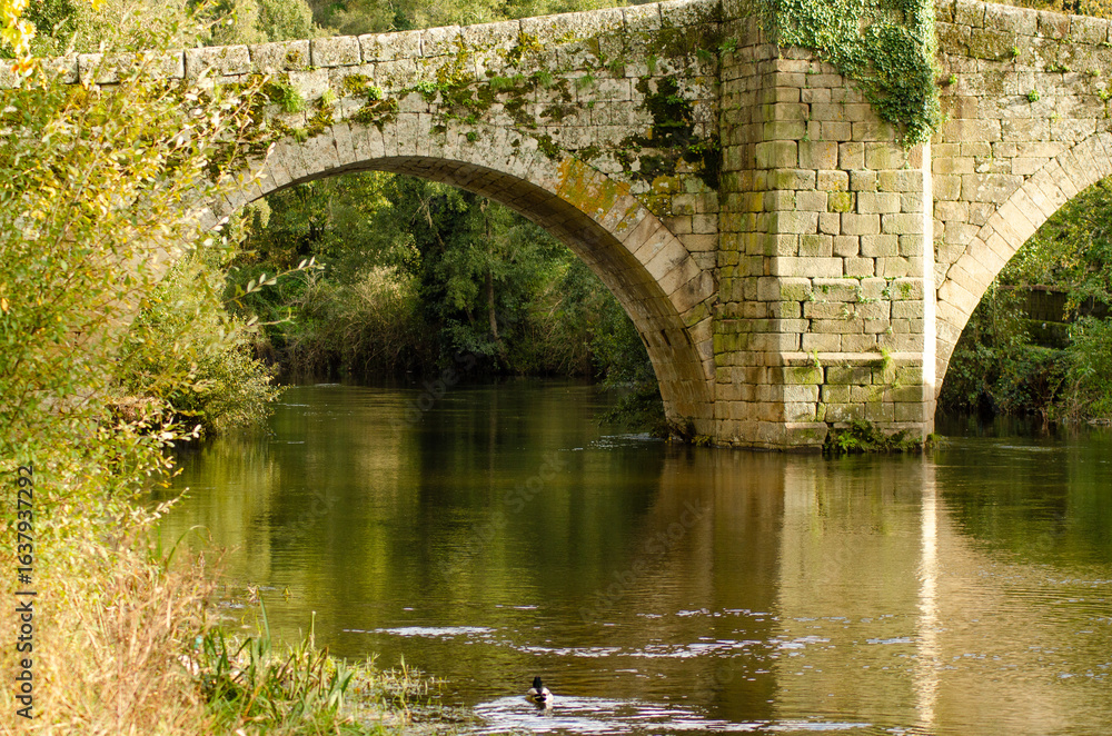 Fototapeta premium The engineering marvel of an ancient roman bridge surrounded by nature heritage concept