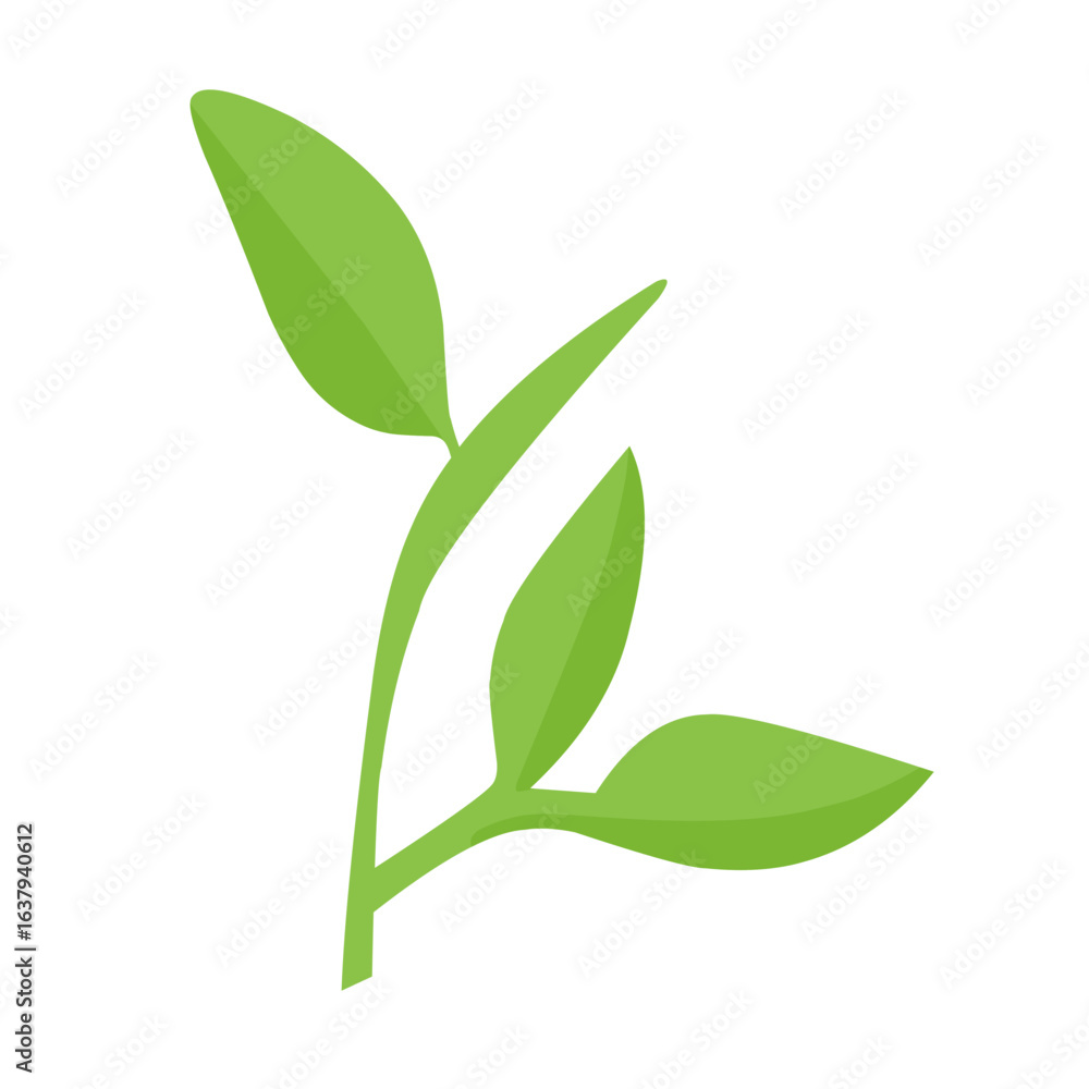Obraz premium vector natural green leaf branch
