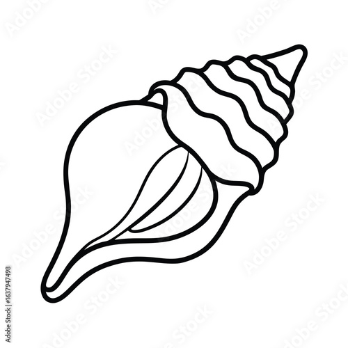 simple conch shell line art on white background