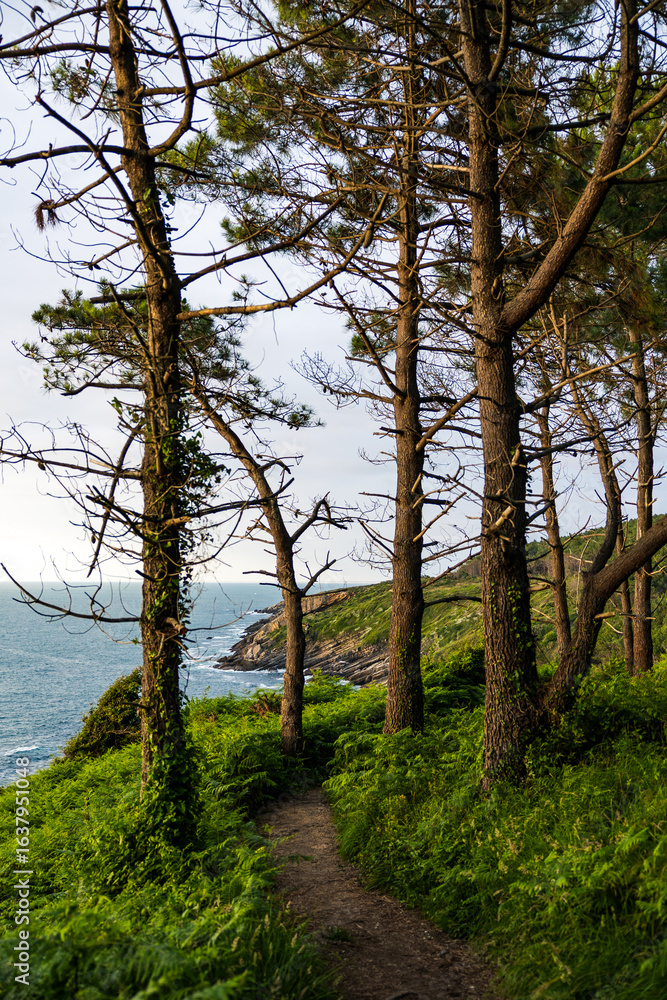 Obraz premium Rocky Coastline Under Cloudy Skies at the Foot of Mount Jaizkibel Around Cape Higuer