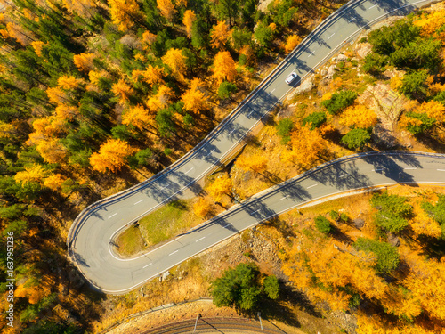 Drone view of a road with curves. Asphalt road in the middle of the forest. A...
