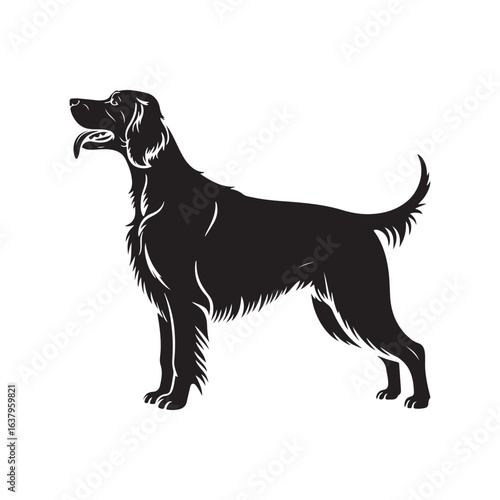 English setter dogs one in solid. Vector black silhouette. with white background.