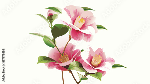 Watercolor illustration of three pink camellia flowers with green leaves on a white background artful design