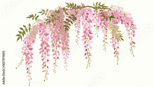 Illustration of a wisteria branch with pink flowers and green leaves hanging against a white background