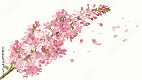 A detailed illustration of a pink lilac branch with falling petals on a white background, showcasing spring beauty