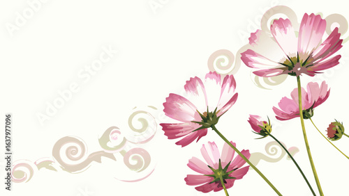 Illustration of pink cosmos flowers with white petals and swirls on a light cream colored background artful design