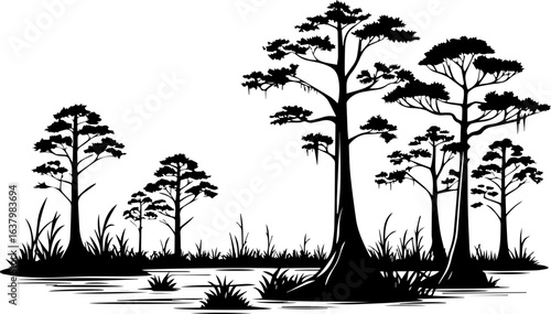Black and White Woodcut Style Cypress Trees in a Swamp or Wetland