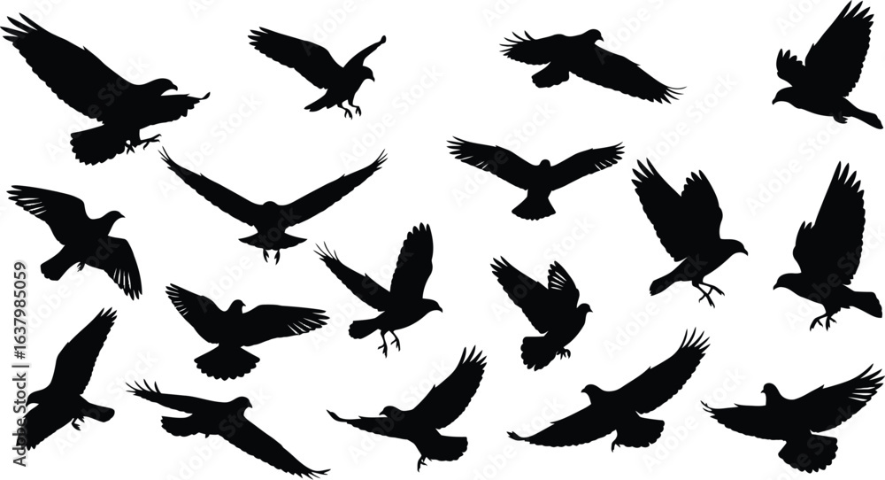 Collection of black bird silhouettes in various flying poses silhouette Collection of black bird silhouettes in various flying poses silhouette