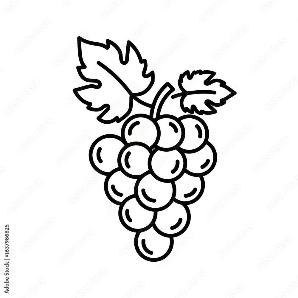 Fototapeta premium grapes vector illustration