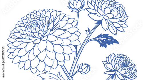 Detailed dahlia flower illustration isolated on white background, featuring intricate line work and botanical elements in a vintage style design