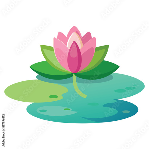 Lotus flower blooming on water with green lily pads botanical aquatic plant illustration