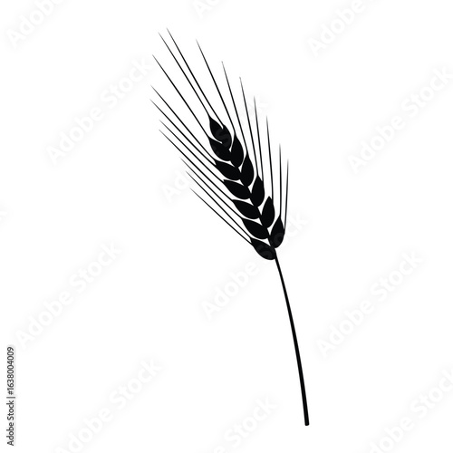 Black silhouette of a single wheat ear on a white background