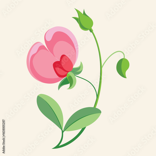 Sweet pea flower with curling stem and fragrant pink petals