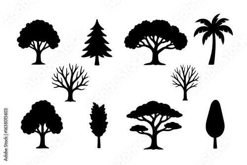 A set of trees silhouettes, black and white, different styles, various sizes , flat design, vector illustration.