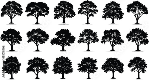 Silhouettes of fifteen different trees, botanical illustration, coniferous and deciduous shapes, forest design elements, nature icons, educational, black graphic art
