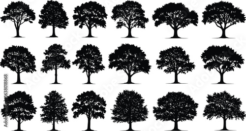 Silhouettes of twenty different trees, botanical illustration, coniferous and deciduous shapes, forest design elements, nature icons, educational, black graphic art