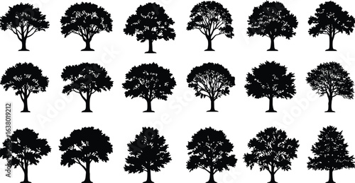 Silhouettes of twenty unique trees, botanical illustration, coniferous and deciduous shapes, forest design elements, nature icons, educational, black graphic art