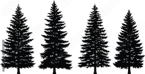  Set of pine tree silhouettes, evergreen forest design, nature landscape vector, outdoor scenery, detailed conifer tree illustration for decoration