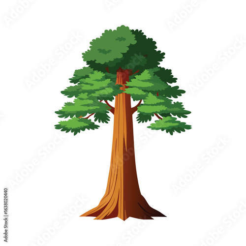 Sequoia Tree Vector Illustration on White Background – Giant Redwood Silhouette Design