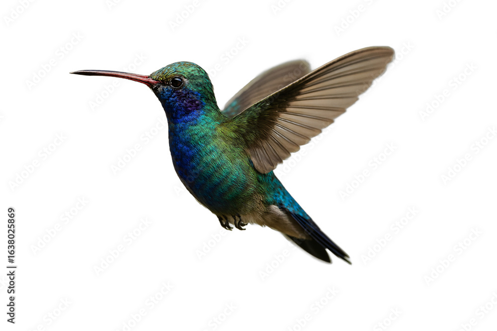 Obraz premium A beautiful, vibrant hummingbird in mid-flight with shimmering blue and green feathers on a clean background, capturing its delicate motion and elegant form.