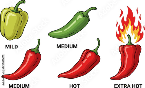 Create a kinds of deferent Hot chili peppers icon vector set. Level of spicy, mild, medium, hot and extra with fire flame symbol vector art with white background.