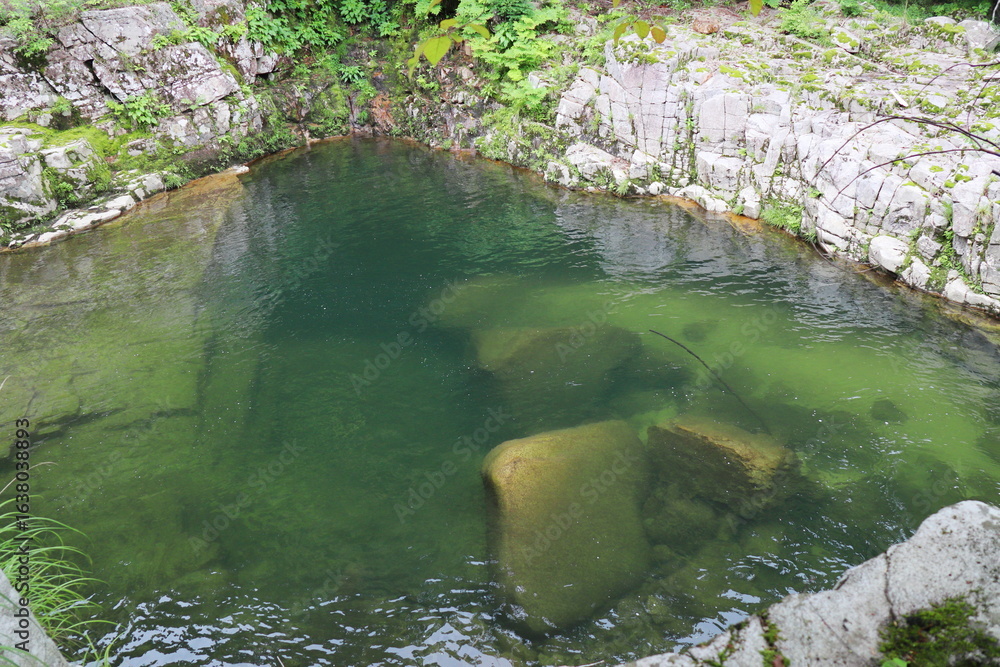 Fototapeta premium 奥津渓谷の緑の水面に見える巨石