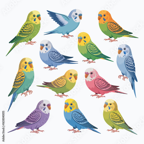 A diverse collection of colorful budgies in various poses and colors