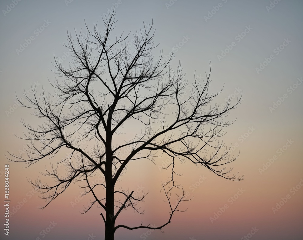 Fototapeta premium Silhouette of Bare Tree Against Vibrant Twilight Sky at Dusk