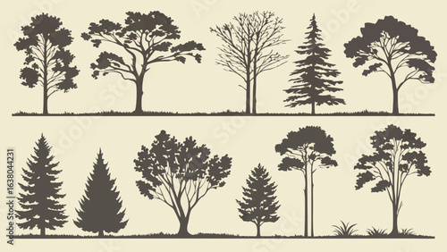 Collection of Dark Silhouette Tree Illustrations.
