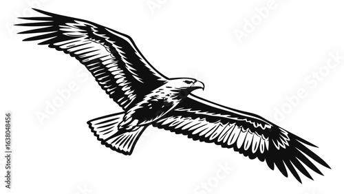Majestic Eagle in Flight Detailed Line Art.