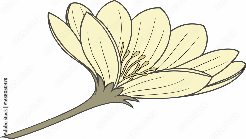 Obraz premium Stylized Illustration of a CreamColored Flower with Stem.