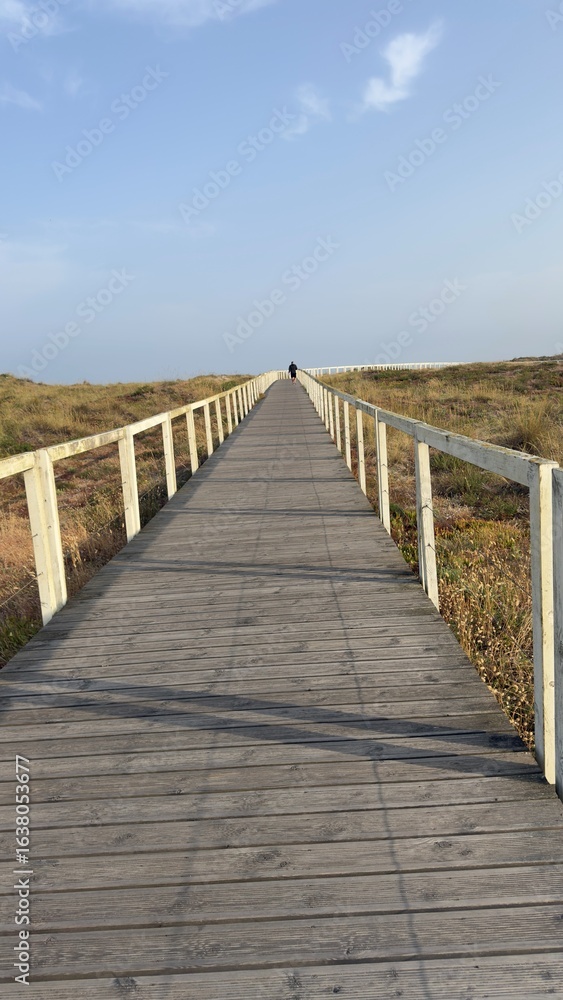Fototapeta premium Wooden Boardwalk Along Atlantic Coast, Portugal