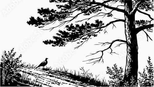 Silhouette of a Pheasant Standing Near a Large Tree.