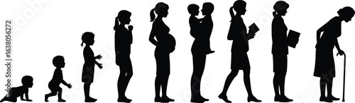 Female life stages silhouette, baby to elderly woman, growth evolution, woman aging, human development timeline, female journey vector illustration