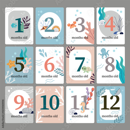 Set of 12 under the sea baby milestone cards with cute ocean animals and coral illustrations, perfect for monthly newborn photography and baby memory keepsakes.