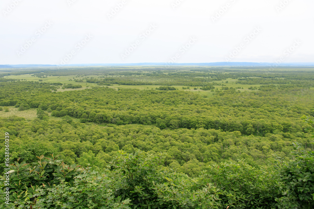 Obraz premium Panorama Summer View of Kushiro Marsh Wetland in Hokkaido, Japan