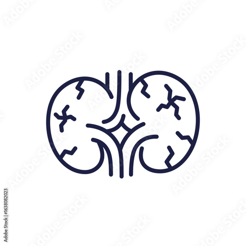 kidney damage icon, nephropathy line design
