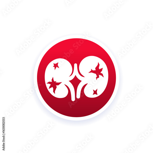 kidney damage or disease icon, vector
