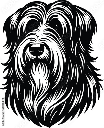 Black and White Fluffy Dog Portrait
