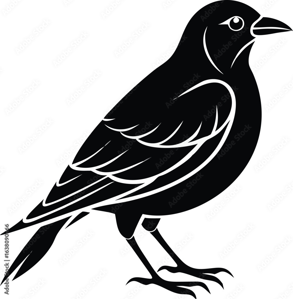 Obraz premium A stylized, solid black bird with white outline details stands in profile, conveying a graphic, minimalist, and elegant mood. 