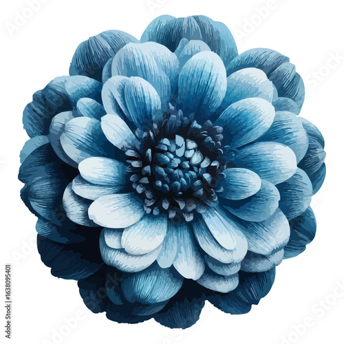 blue flower on white background, top view