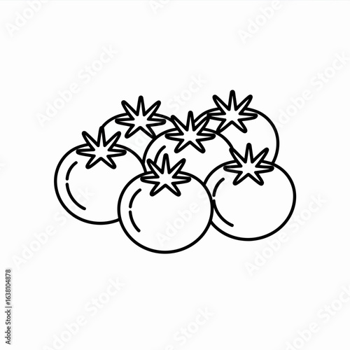 vector illustration of a tomato